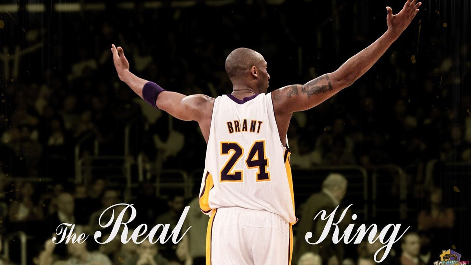 成功的背后：团队协作和战术执行的秘密，成功是团队协作结果