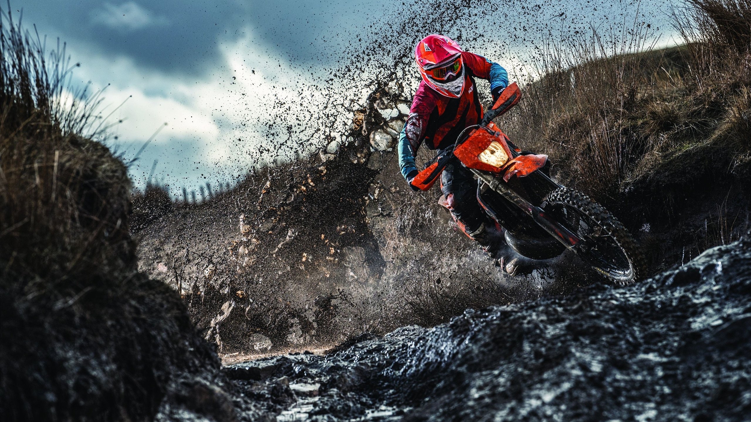 球队支持：最热情的粉丝集体行为盘点，足球粉丝群